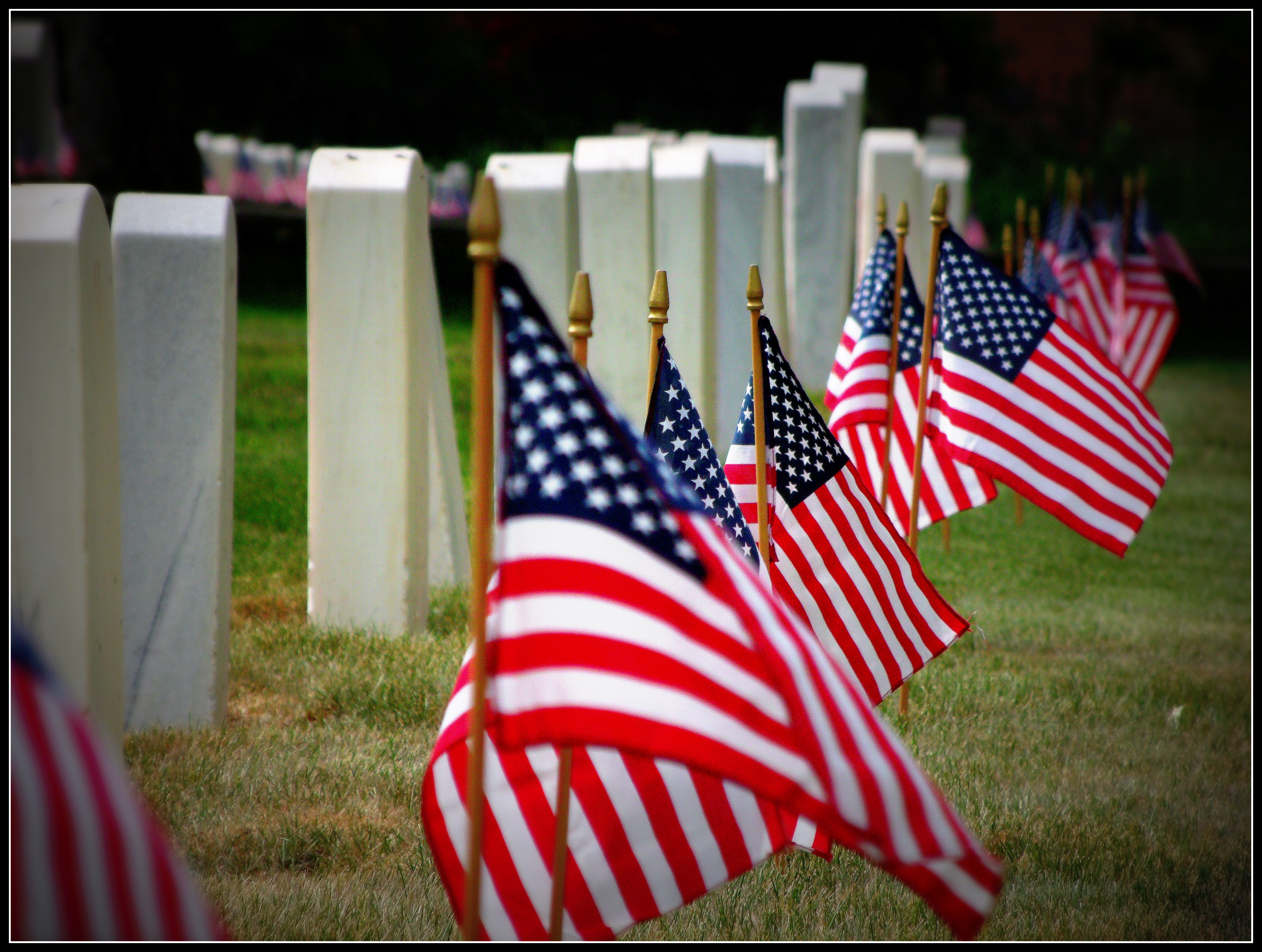 Memorial Day Blogapy…