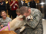 American Airlines, American Dog Resue, and PRAI Support the Work of Nowzad Dogs, Reuniting servicemen and women with the dogs they befriended while deployed over seas